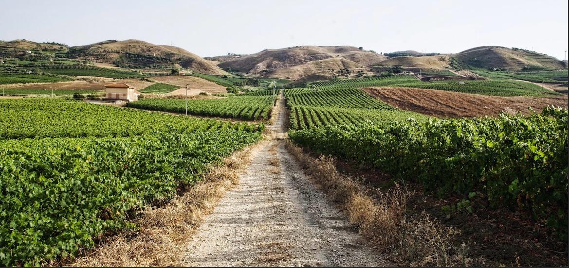 Degustazione in cantina - Fattorie Azzolino