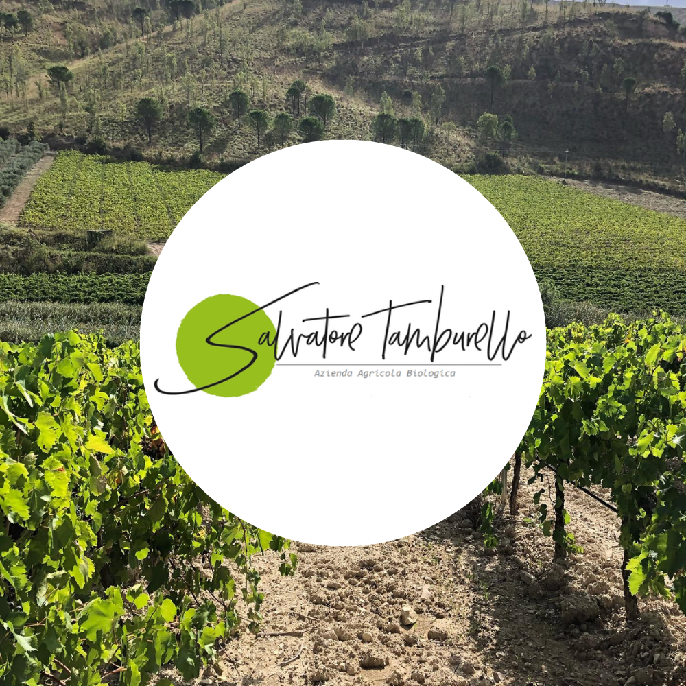 Cantina Salvatore Tamburello