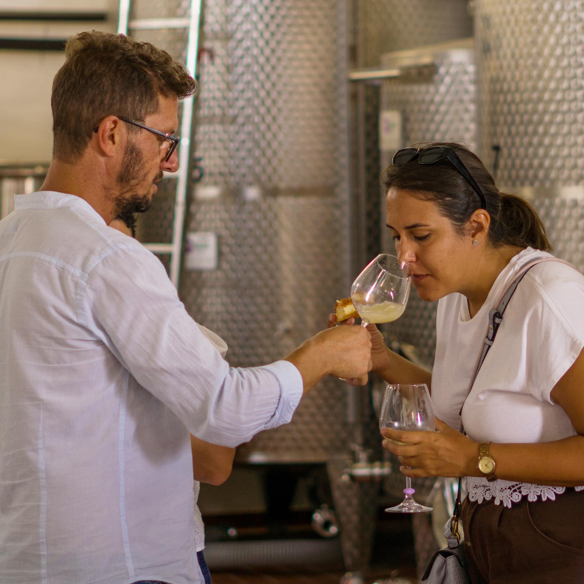 Degustazione di Vini - Terre di Gratia