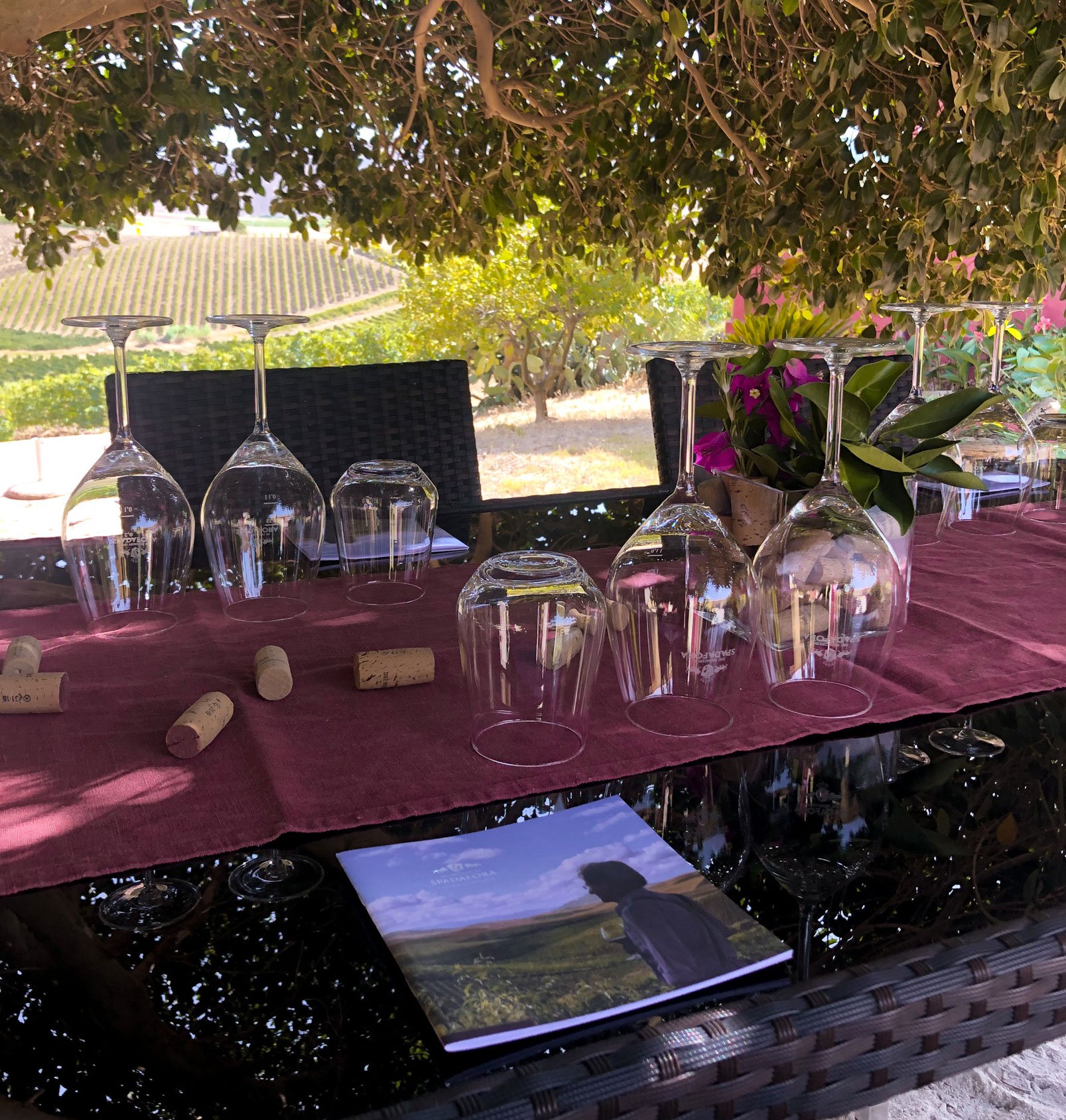 Degustazione Cru - Dei Principi di Spadafora