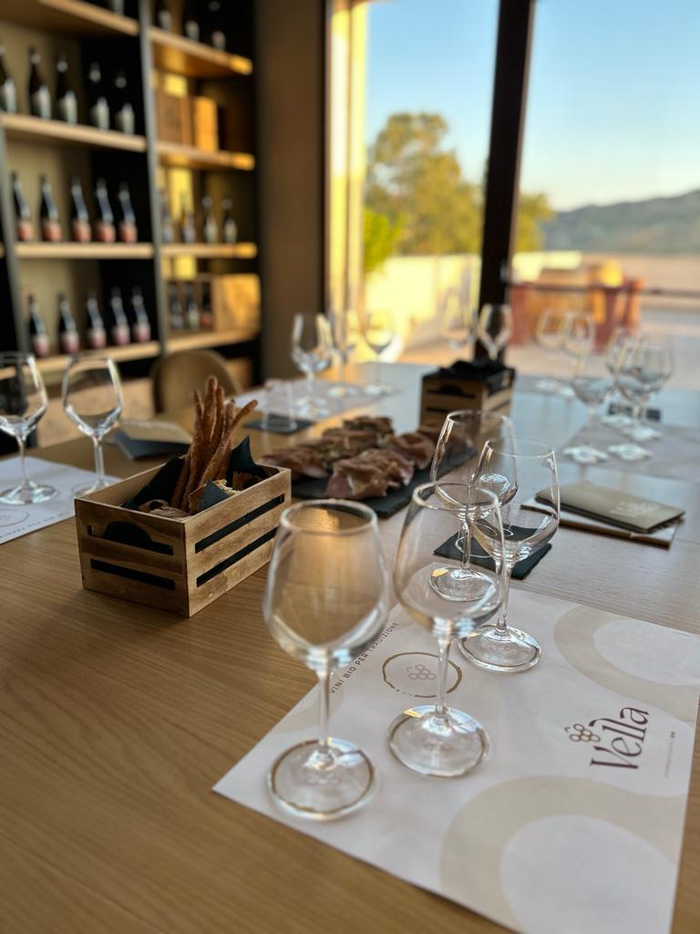 Wine Experience “Pic-nic in Vigna”