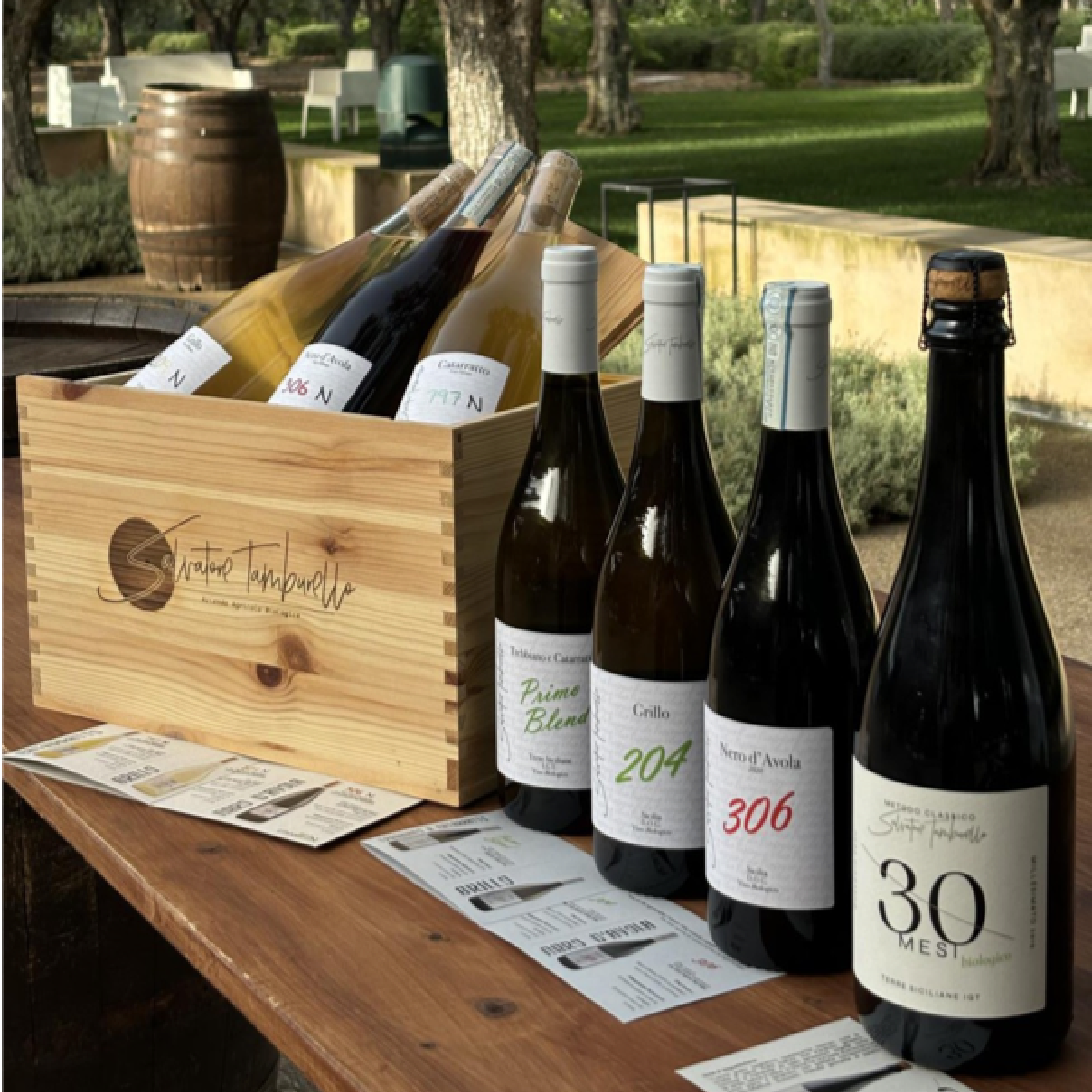 Visita + Degustazione di 3 vini
