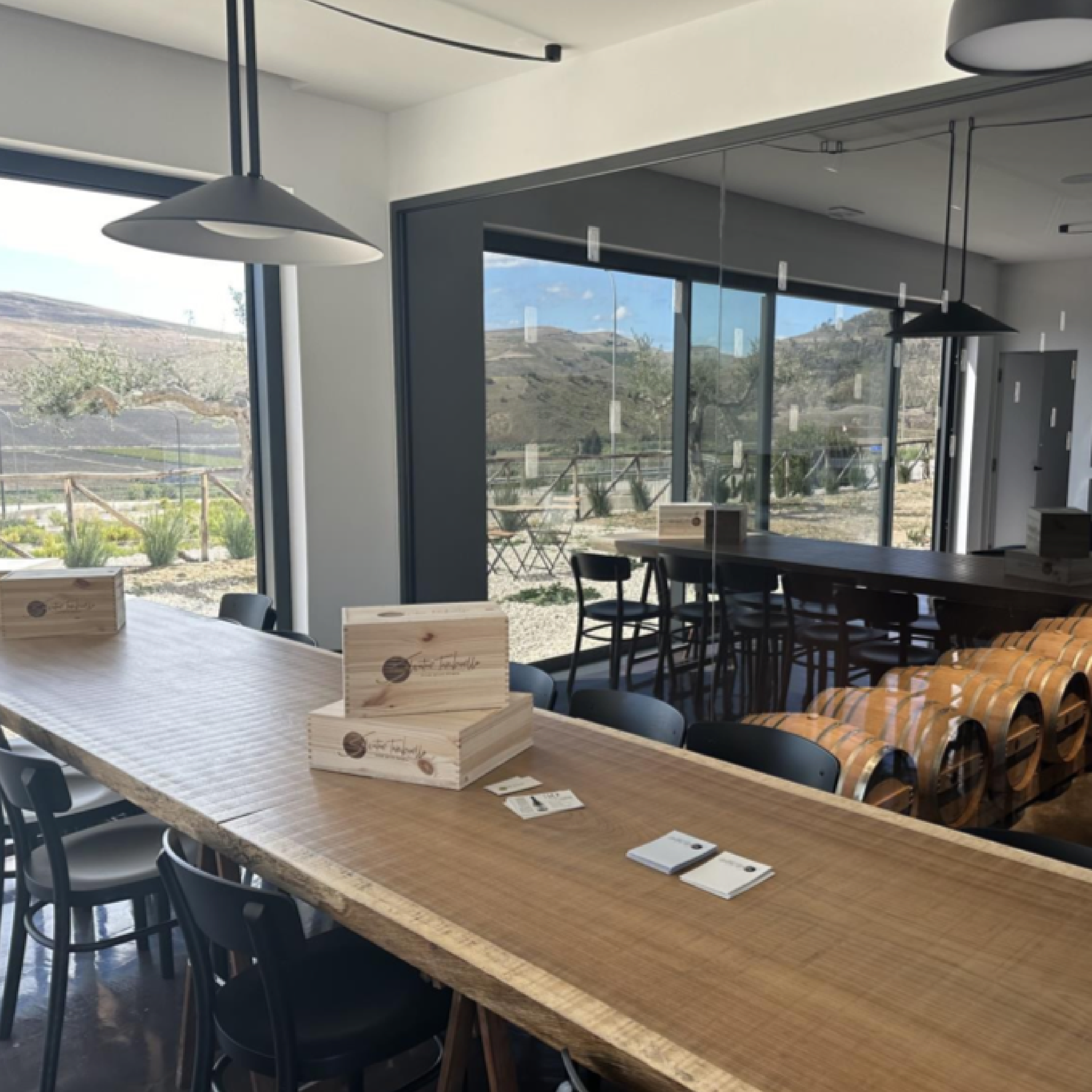 Visita + Degustazione di 5 vini